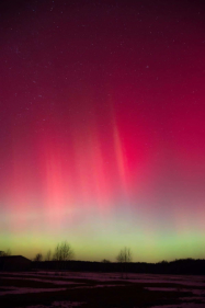 Foto: Steffen Noack 20.01.2026 in Klein Krausnik (Landkreis Elbe-Elster)