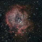 Foto: Horst Deckwerth